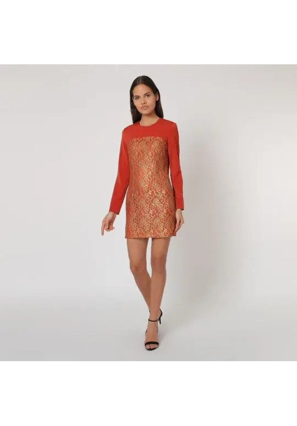 ban bat vest roj dor