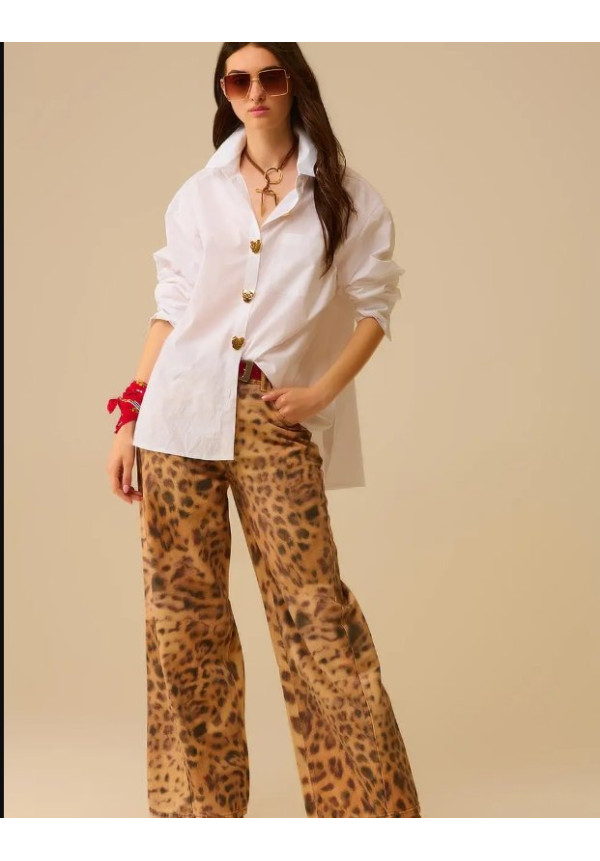 Q2 ca blanca bot dor